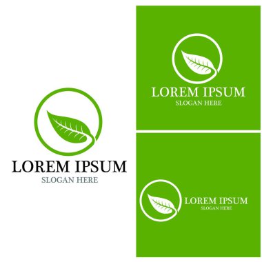 Doğa yaprağı simgesi ve sembol vektörü