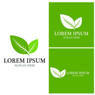 Doğa yaprağı simgesi ve sembol vektörü