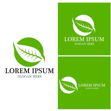 Doğa yaprağı simgesi ve sembol vektörü