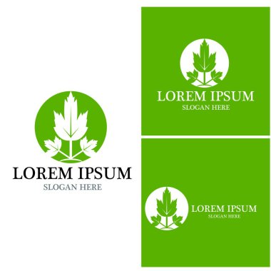 Doğa yaprağı simgesi ve sembol vektörü