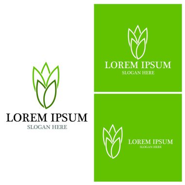 Doğa yaprağı simgesi ve sembol vektörü