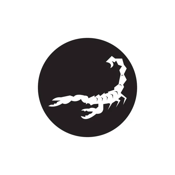 Scorpio Icon Und Symbolvektorvorlage — Stockvektor
