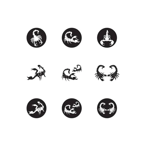Icône Scorpion Modèle Vectoriel Symbole — Image vectorielle