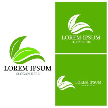 Doğa yaprağı simgesi ve sembol vektörü