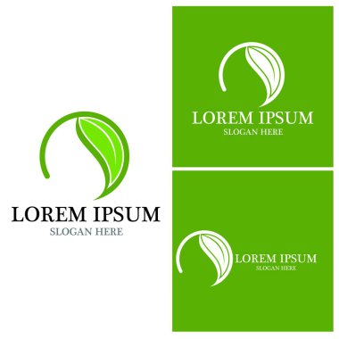 Doğa yaprağı simgesi ve sembol vektörü