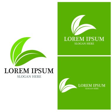 Doğa yaprağı simgesi ve sembol vektörü