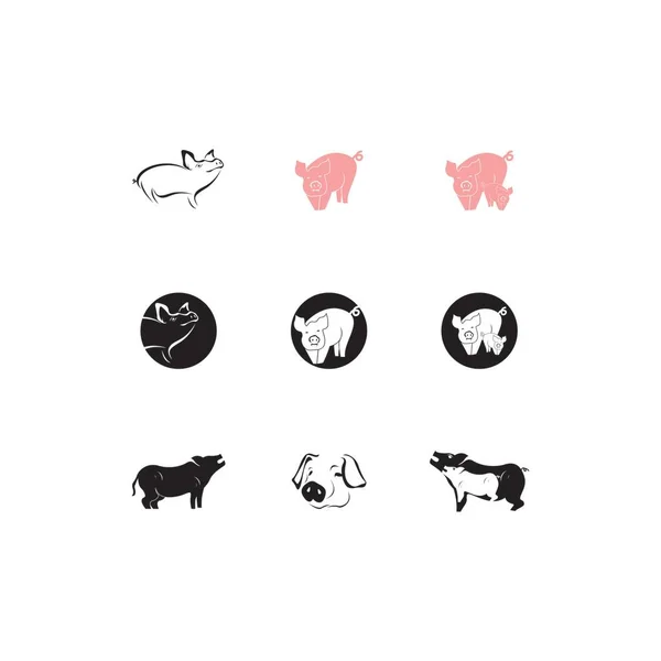 Pig Icon Und Symbol Vector Illustration — Stockvektor