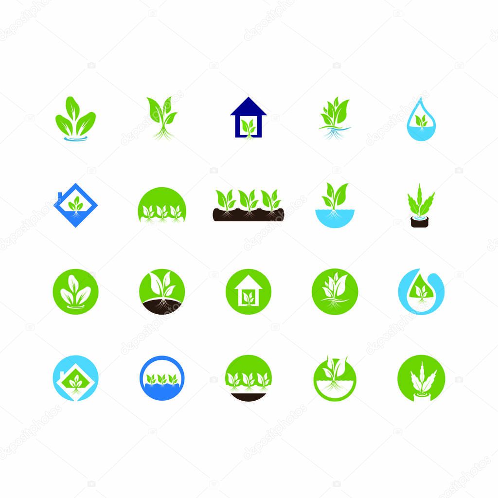 Hydroponic Logo Vector Template Illustration