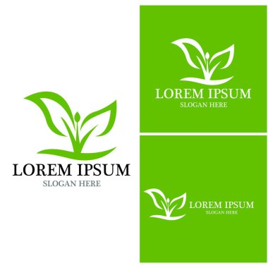 Doğa yaprağı simgesi ve sembol vektörü