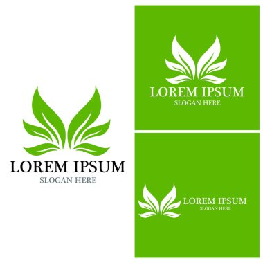 Doğa yaprağı simgesi ve sembol vektörü