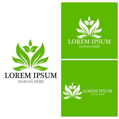 Doğa yaprağı simgesi ve sembol vektörü