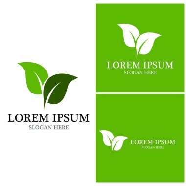 Doğa yaprağı simgesi ve sembol vektörü