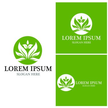 Doğa yaprağı simgesi ve sembol vektörü