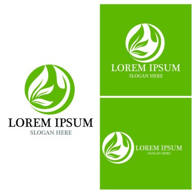 Doğa yaprağı simgesi ve sembol vektörü