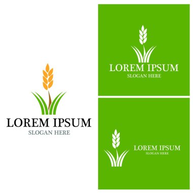 Doğa Çimeni Logo Vektör Şablonu İllüstrasyonu