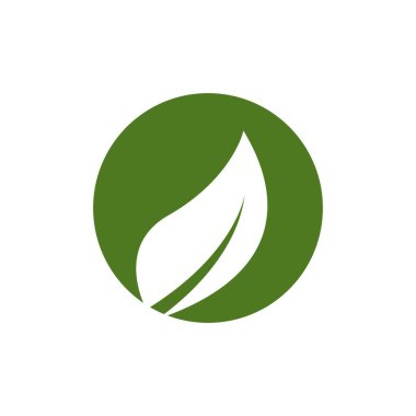 Doğa yaprağı simgesi ve sembol vektörü