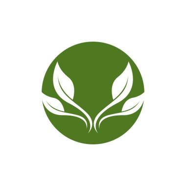 Doğa yaprağı simgesi ve sembol vektörü