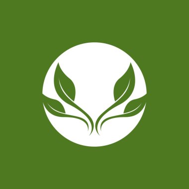 Doğa yaprağı simgesi ve sembol vektörü