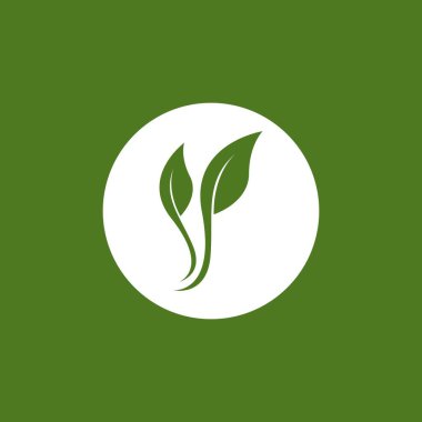 Doğa yaprağı simgesi ve sembol vektörü