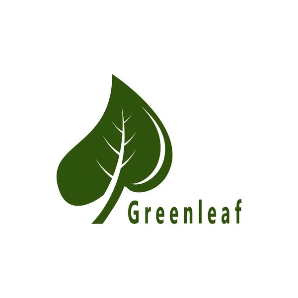 Πράσινο Φύλλο Φύσης Plant Έννοια Σύμβολο Εικονογράφηση Διάνυσμα — Διανυσματικό Αρχείο