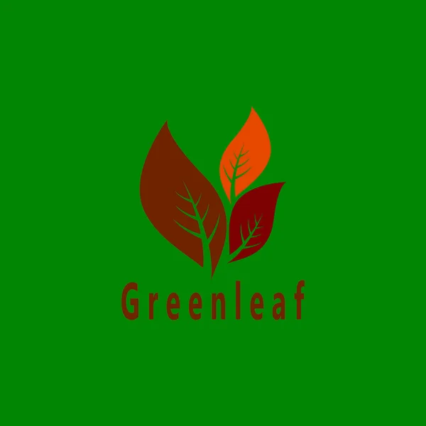 Green Leaf Nature Plant Conceptual Symbol Vector Illustration — Stock Vector