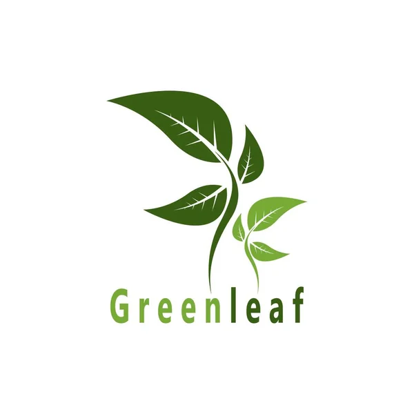 Yeşil Yaprak Doğa Santrali Kavramsal Sembol Vektörü Llüstrasyonu — Stok Vektör