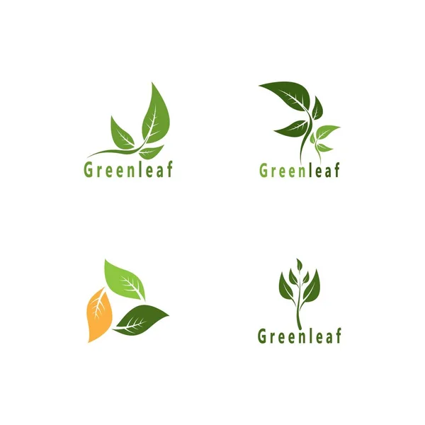 Verde Hoja Naturaleza Planta Símbolo Conceptual Vector Ilustración — Vector de stock
