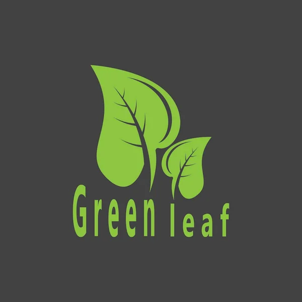 Green Leaf Nature Plant Konzeptionelle Symbol Vektor Illustration — Stockvektor