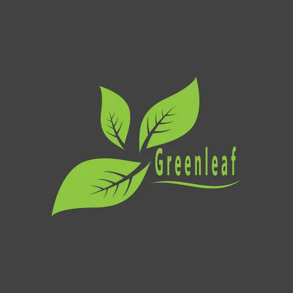 Green Leaf Nature Plant Konzeptionelle Symbol Vektor Illustration — Stockvektor