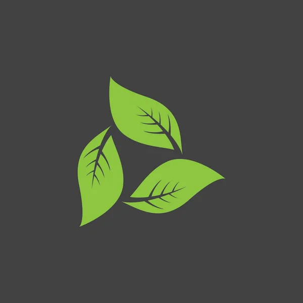 绿叶自然植物概念符号向量图解 — 图库矢量图片