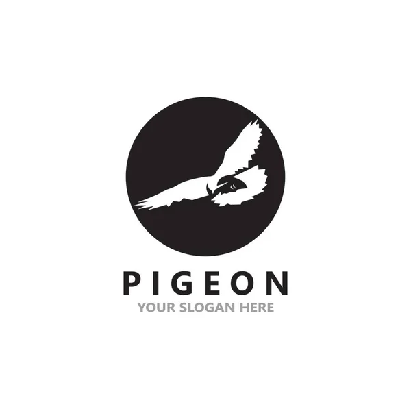 Pigeon Pássaro Logotipo Vetor Ícone Ilustração Design Modelo — Vetor de Stock