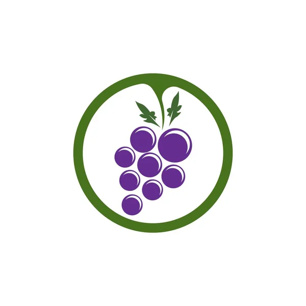 Modern Gyümölcsszőlő Logó Sablonja — Stock Vector