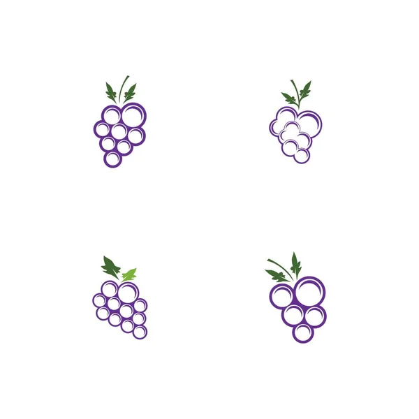 Modelo Logotipo Uva Fruta Moderna —  Vetores de Stock