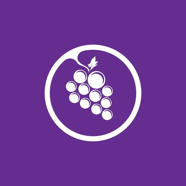 Modern Gyümölcsszőlő Logó Sablonja — Stock Vector