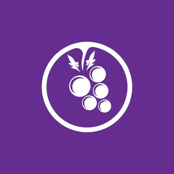 Modern Fruit Grape Logo Template — Stock Vector