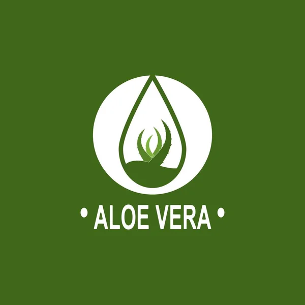 Aloe Vera Logo Illustration Vorlage Design — Stockvektor