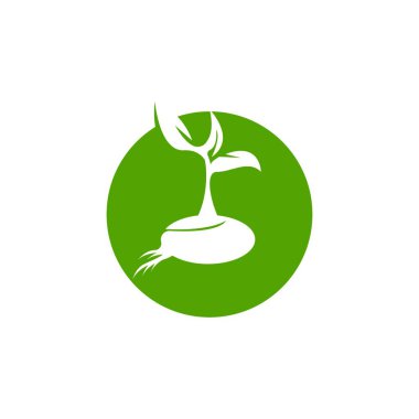 Tohum doğa logo vektör şablonu çizimi