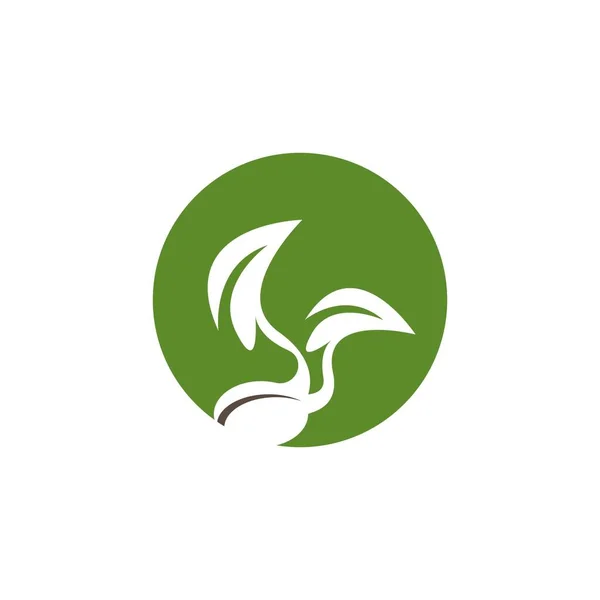 Zaden Natuur Logo Vector Template Illustratie — Stockvector