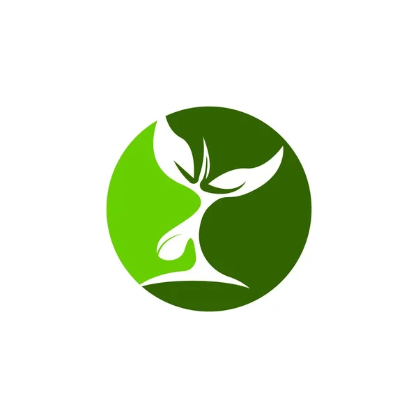 Semi Natura Logo Vettore Modello Illustrazione — Vettoriale Stock