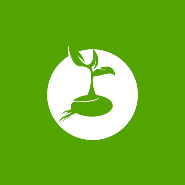 Tohum Doğa Logo Vektör Şablonu Çizimi — Stok Vektör