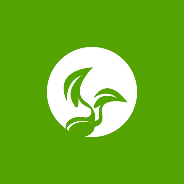 Graines Illustration Vectorielle Logo Nature — Image vectorielle