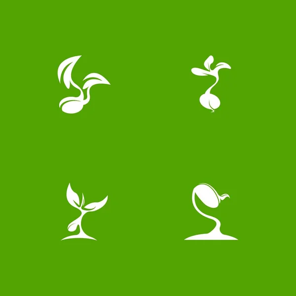 Semillas Naturaleza Logotipo Vector Plantilla Ilustración — Vector de stock