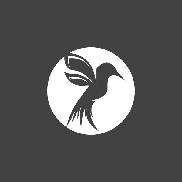 Kolibrie Silhouet Kunst Logo Vector Illustratie — Stockvector