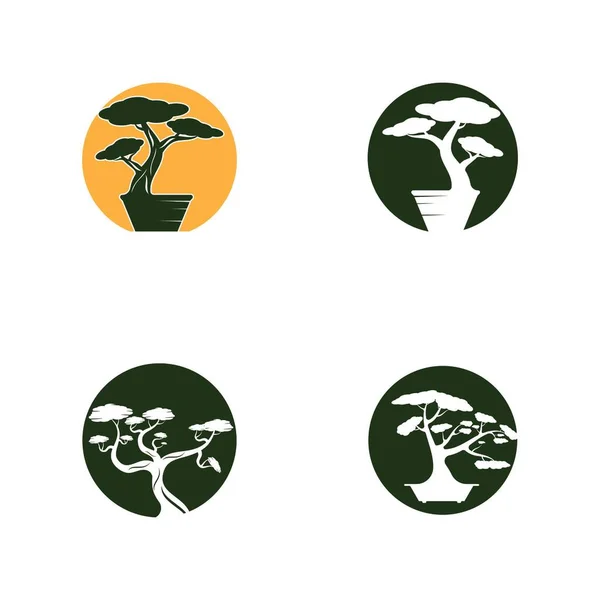 Logo Bonsai Design Mini Petit Arbre Japonais Silhouette Logo Design — Image vectorielle