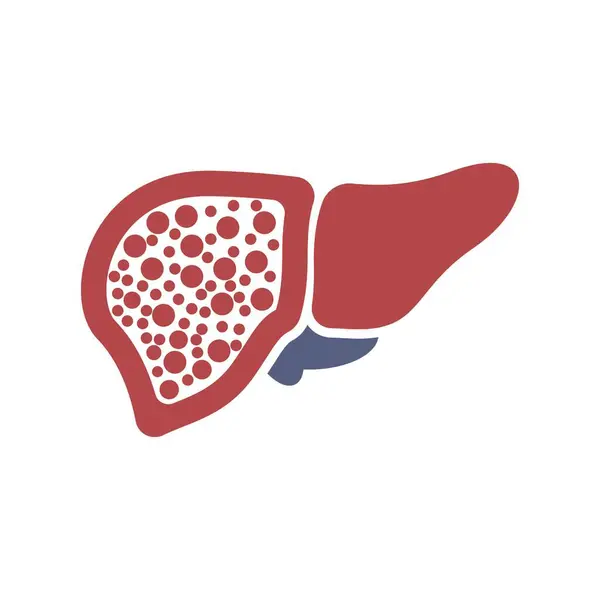 Liver医疗标识向量模板示例 — 图库矢量图片