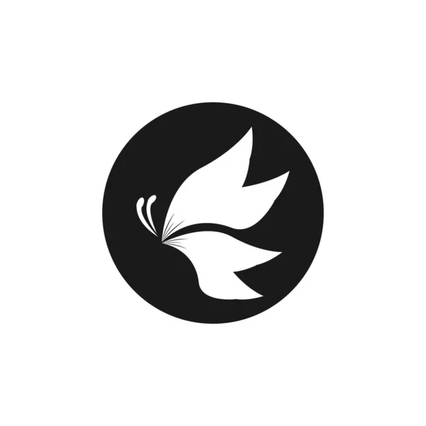 Icône Papillon Silhouette Noire Vecteur Modèle Symbole — Image vectorielle