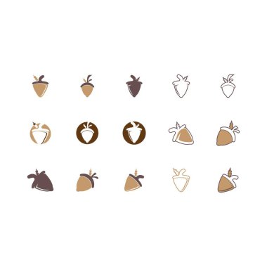 Meşe palamudu simgesi ve sembol vektör şablonu çizimi