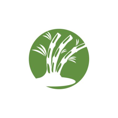 Bambu Bitki Simgesi ve Sembol vektör şablonu İllüstrasyonu