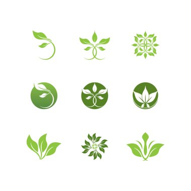 Yeşil Yaprak simgesi ve Sembol Vektör Şablonu İllüstrasyonu