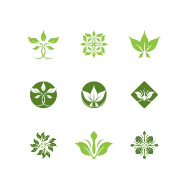 Yeşil Yaprak simgesi ve Sembol Vektör Şablonu İllüstrasyonu